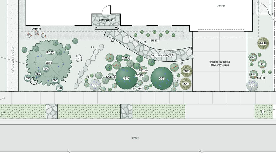 Illustration of the sample planting plan's front yard, drawn from above, with every plant as a coded symbol.